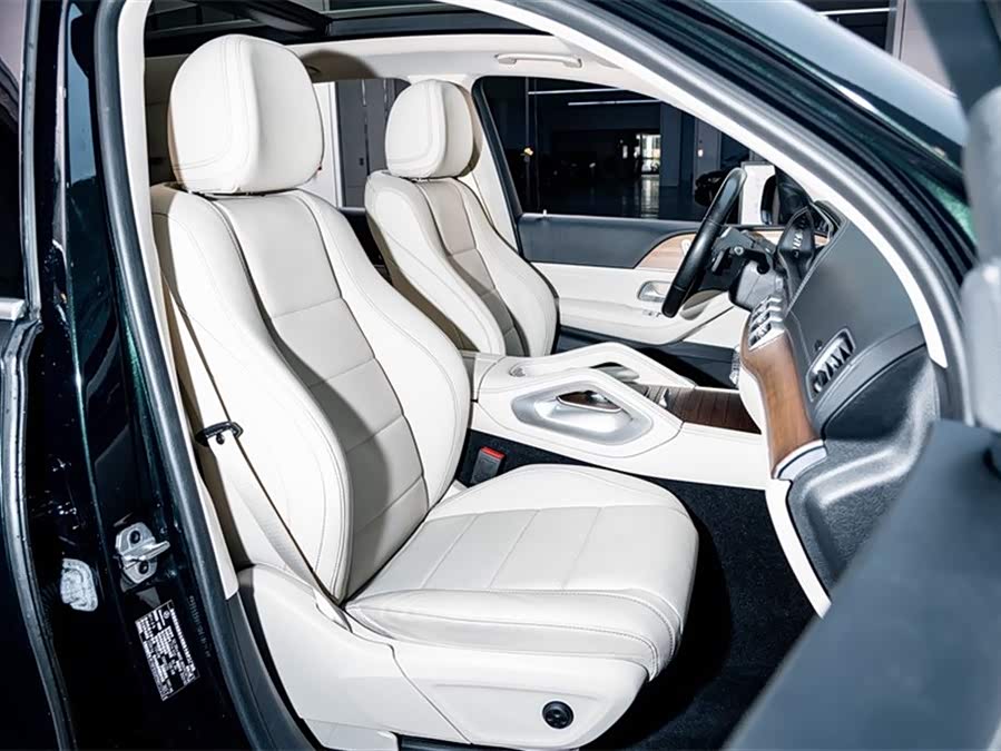 Mercedes-Benz GLE Class New Energy 2022 car image #21