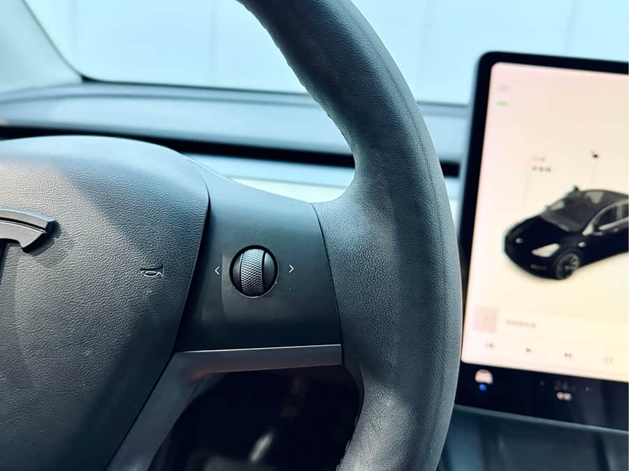 Tesla Model Y 2021 car image #21