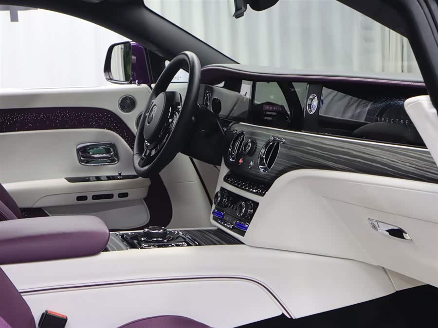 Rolls-Royce Spectre 2023 immagine di auto #21