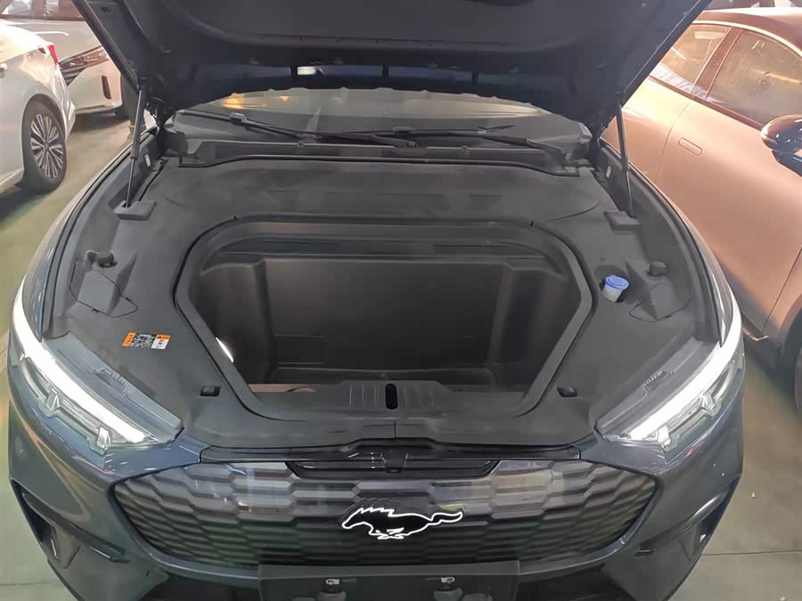 Ford Mustang Mach-E 2023 #21 Ford Mustang Mach-E 2023 car image #21