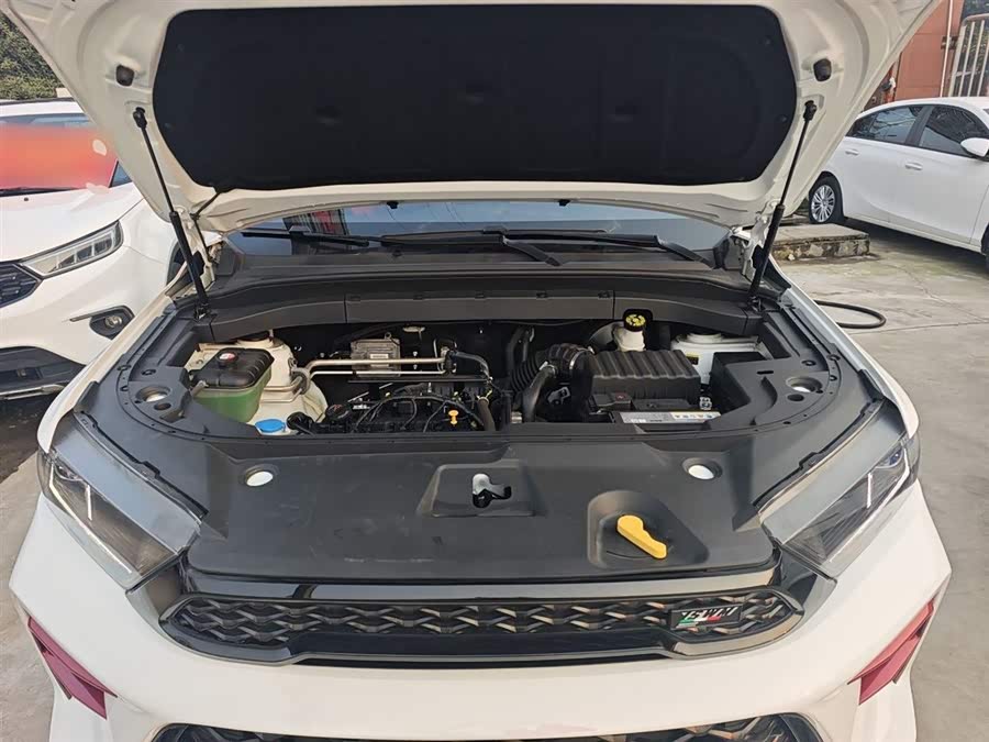 SWM斯威汽车 SWM斯威G01FF 2024 #21 SWM斯威汽车 SWM斯威G01FF 2024 汽车图片 #21