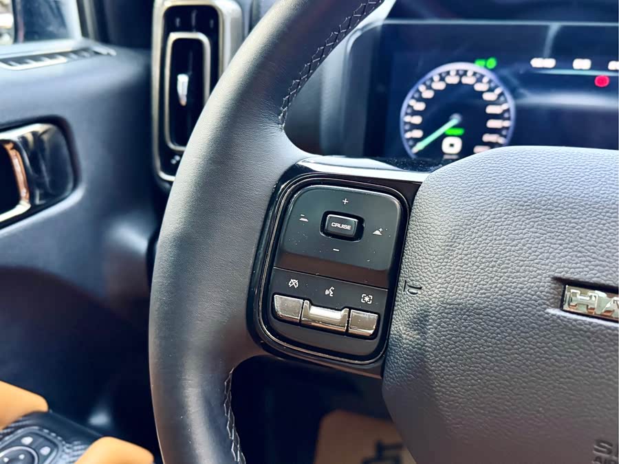 Haval Raptor New Energy 2023 car image #21