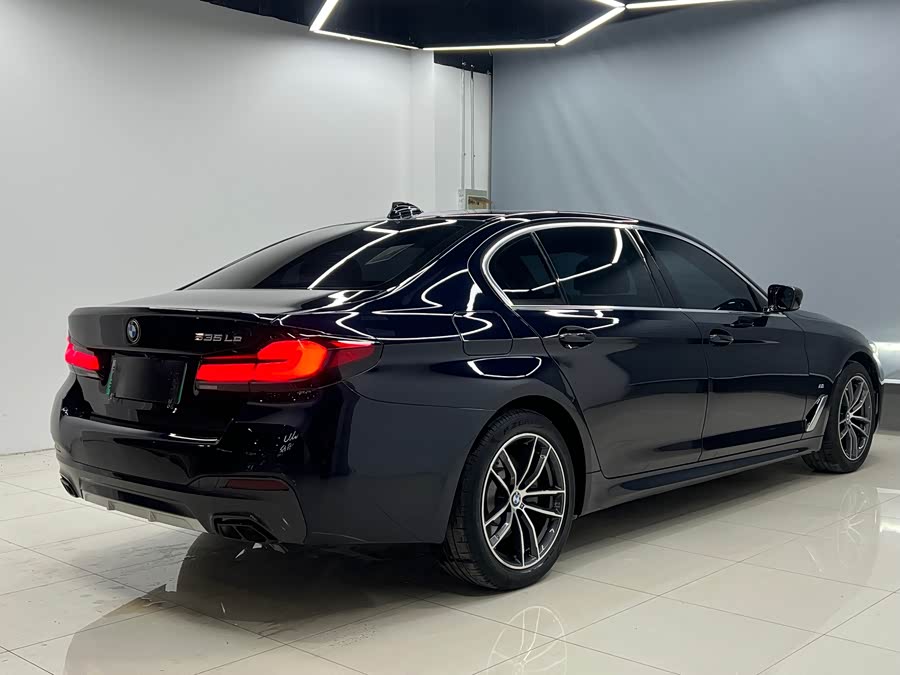 BMW 5 Series New Energy 2021 car image #21