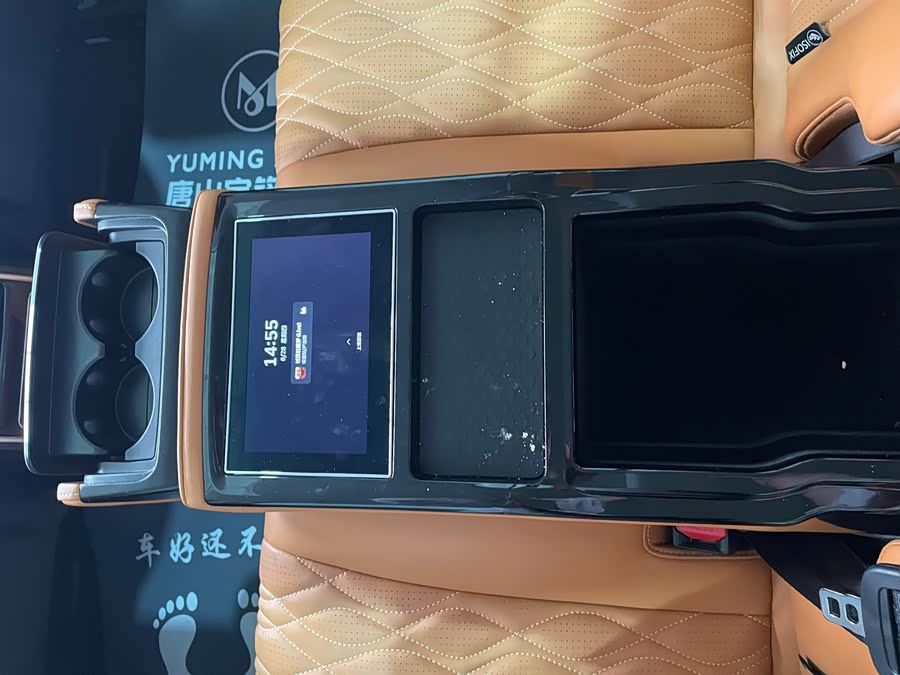 Tank 500 New Energy 2024 car image #21