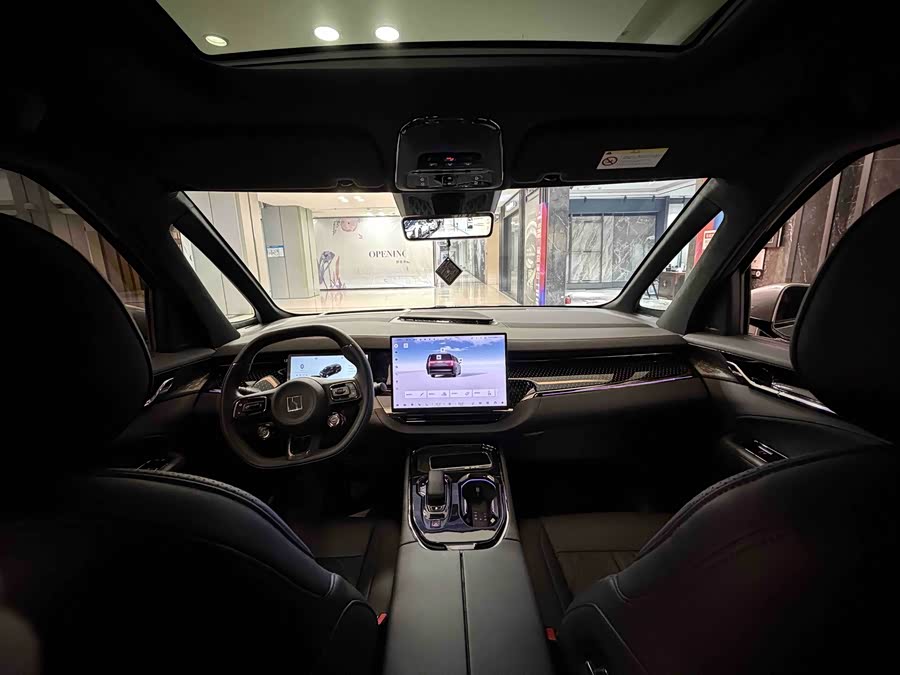 极氪 极氪009 2024 汽车图片 #21