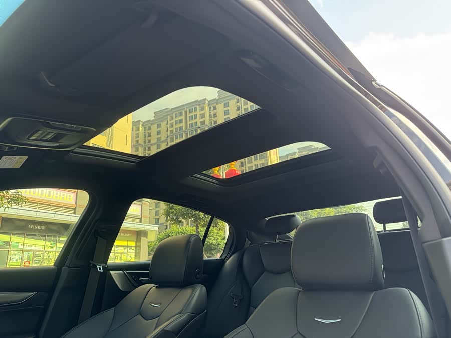 2020 #21 2020 car image #21