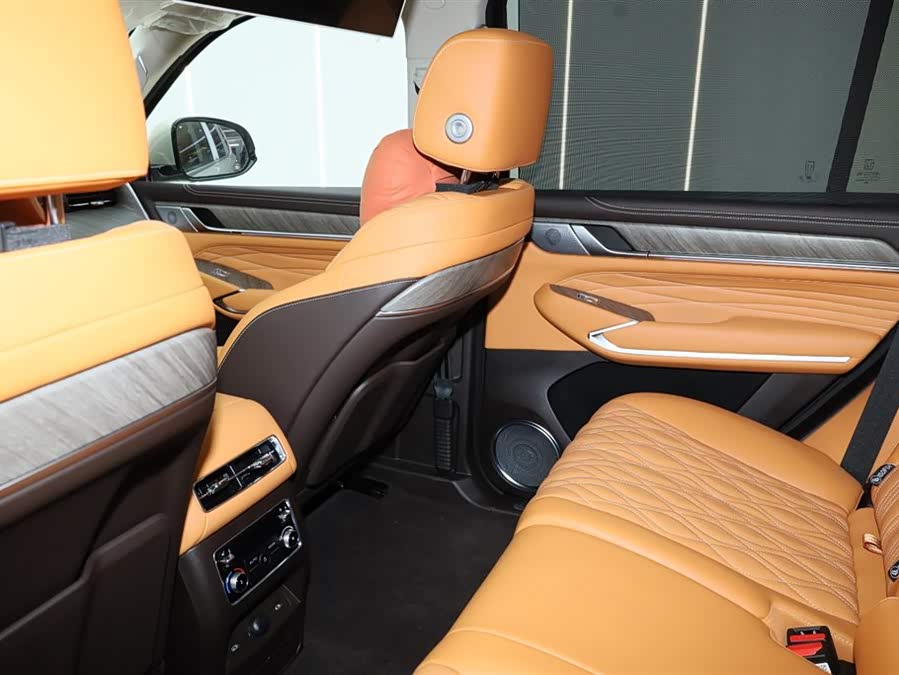 Tank 500 New Energy 2025 immagine di auto #21