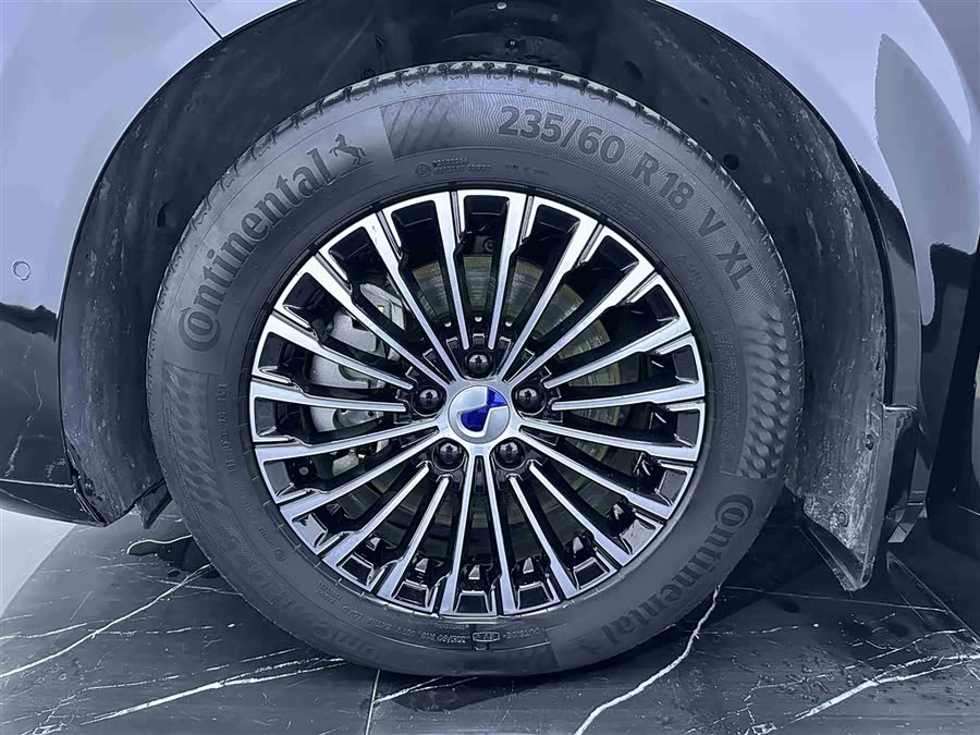 Denza D9 2023 immagine di auto #21