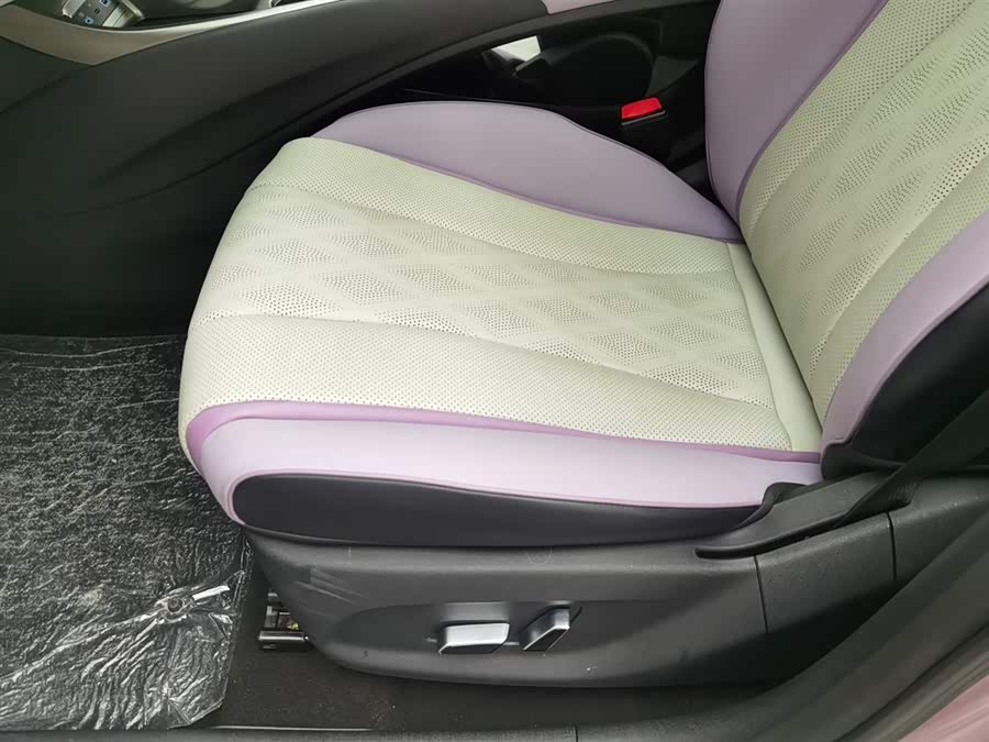 BYD Dolphin 2024 immagine di auto #21
