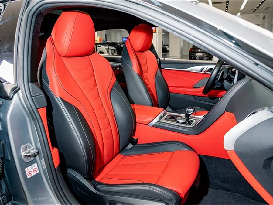 BMW 8 Series 2022 car image #21