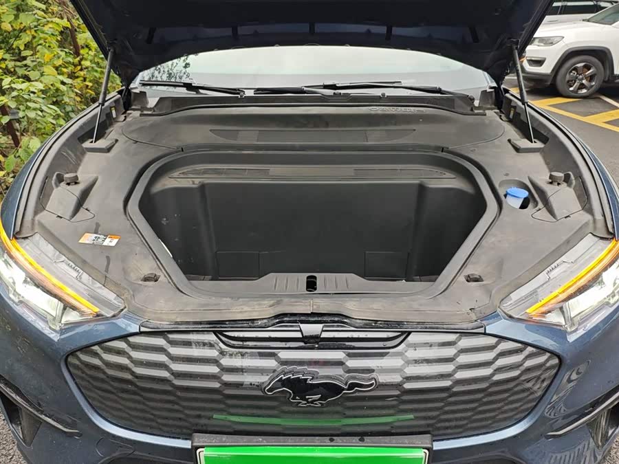 Ford Mustang Mach-E 2022 #21 Ford Mustang Mach-E 2022 car image #21