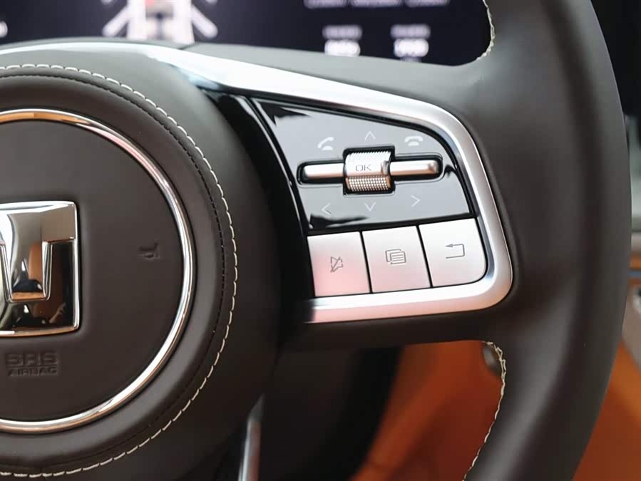 Tank 500 New Energy 2025 #21 Tank 500 New Energy 2025 car image #21