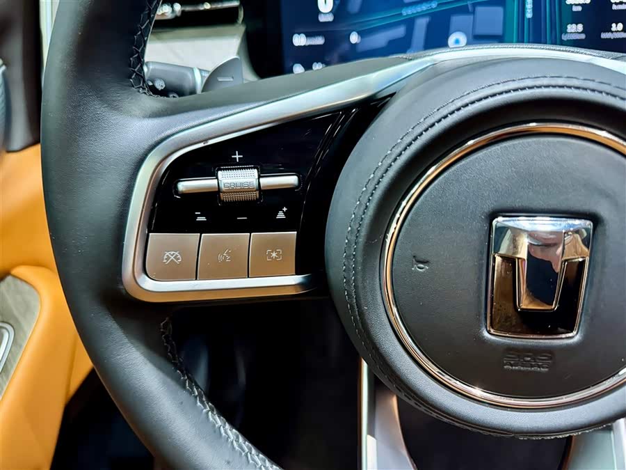 Tank 500 New Energy 2025 car image #21