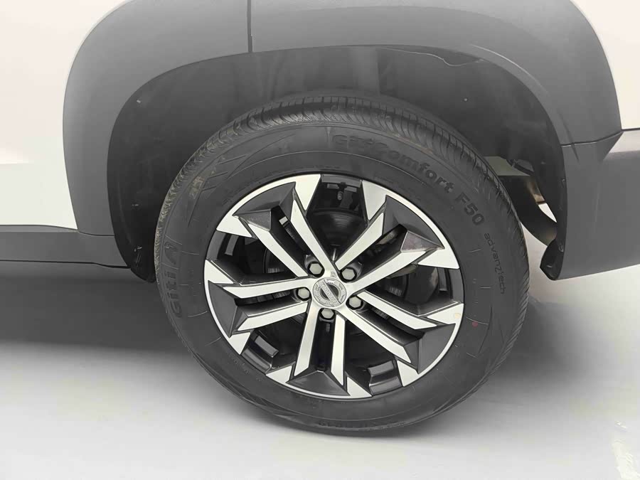 Haval X Dog / Dargo 2021 #21 Haval X Dog / Dargo 2021 car image #21