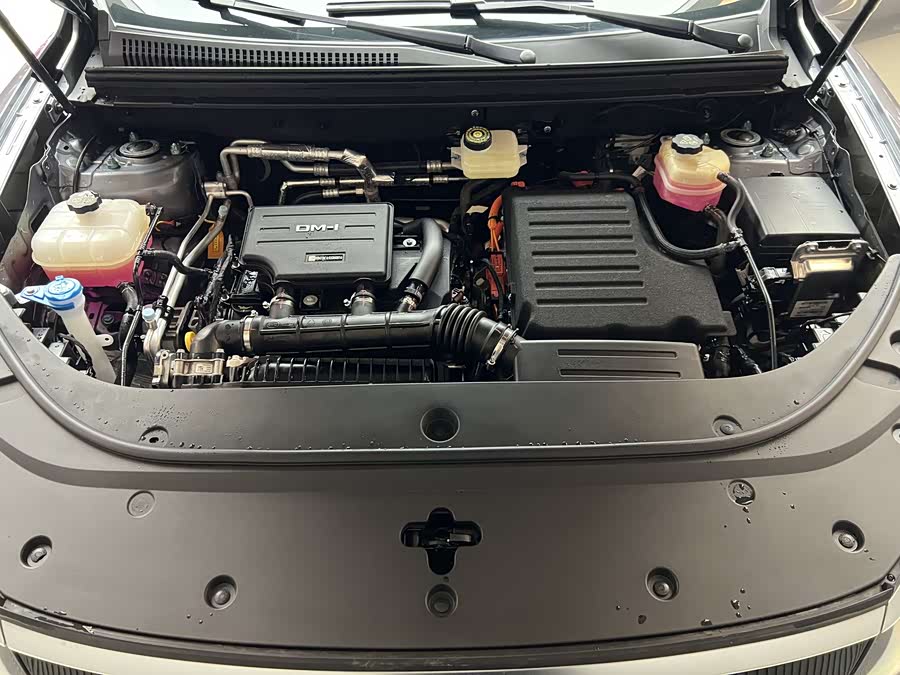 BYD Sea Lion 05 DM-i 2025 car image #21