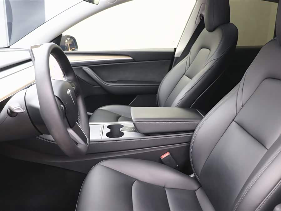 Tesla Model Y 2021 car image #21