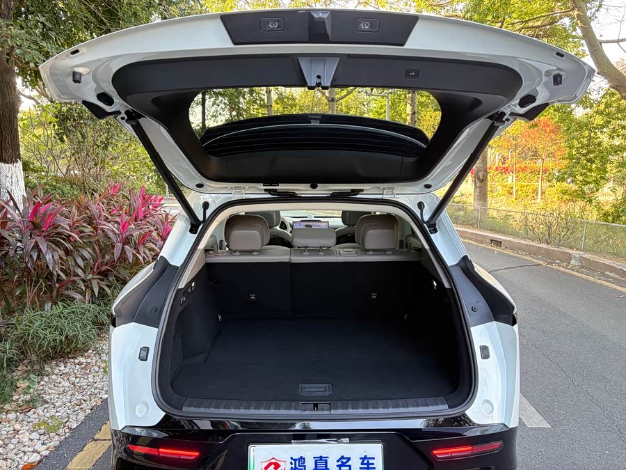 极氪 极氪7X 2024 汽车图片 #21