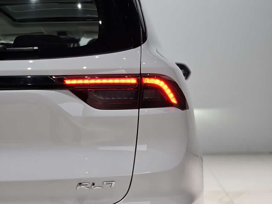 睿蓝汽车 睿蓝9 2024 汽车图片 #21