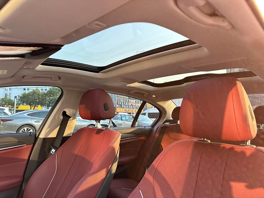 BMW 5 Series New Energy 2020 car image #21