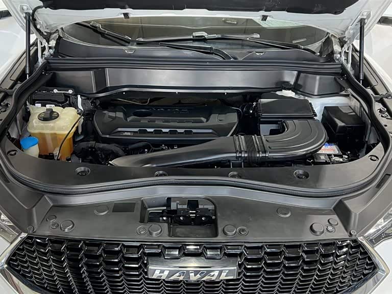 Haval F7 2019 car image #21