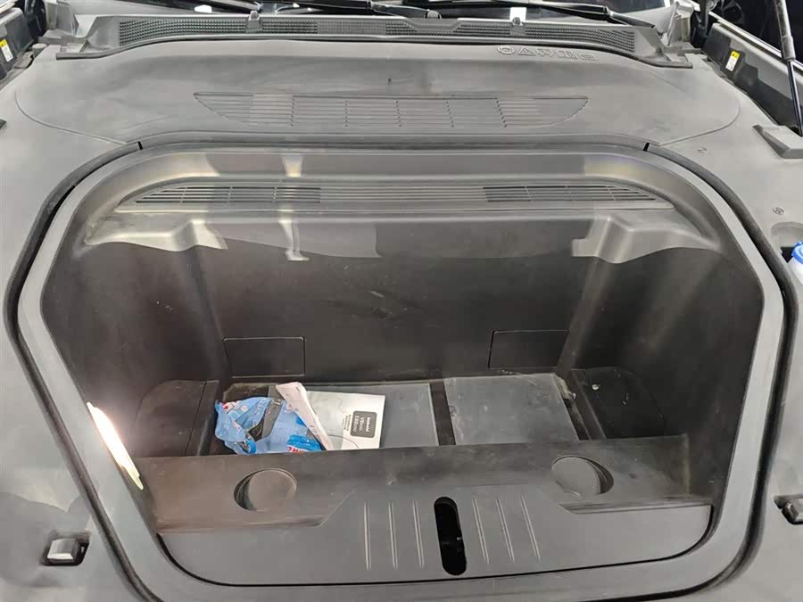 Ford Mustang Mach-E 2023 #21 Ford Mustang Mach-E 2023 car image #21