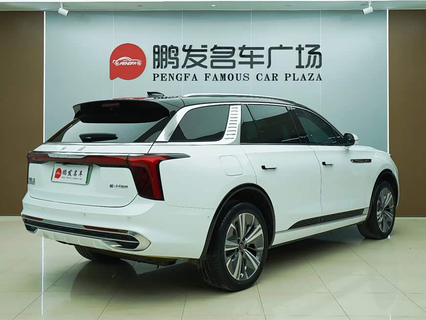 HongQi E-HS9 2022 immagine di auto #21