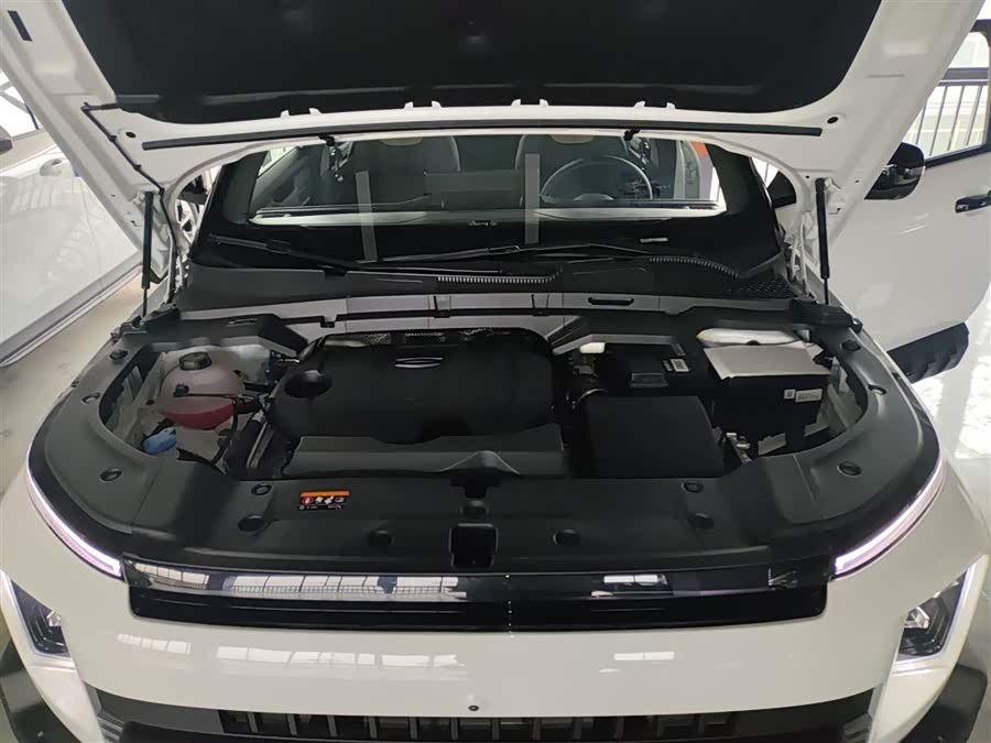 GEELY Cowboy 2025 car image #21