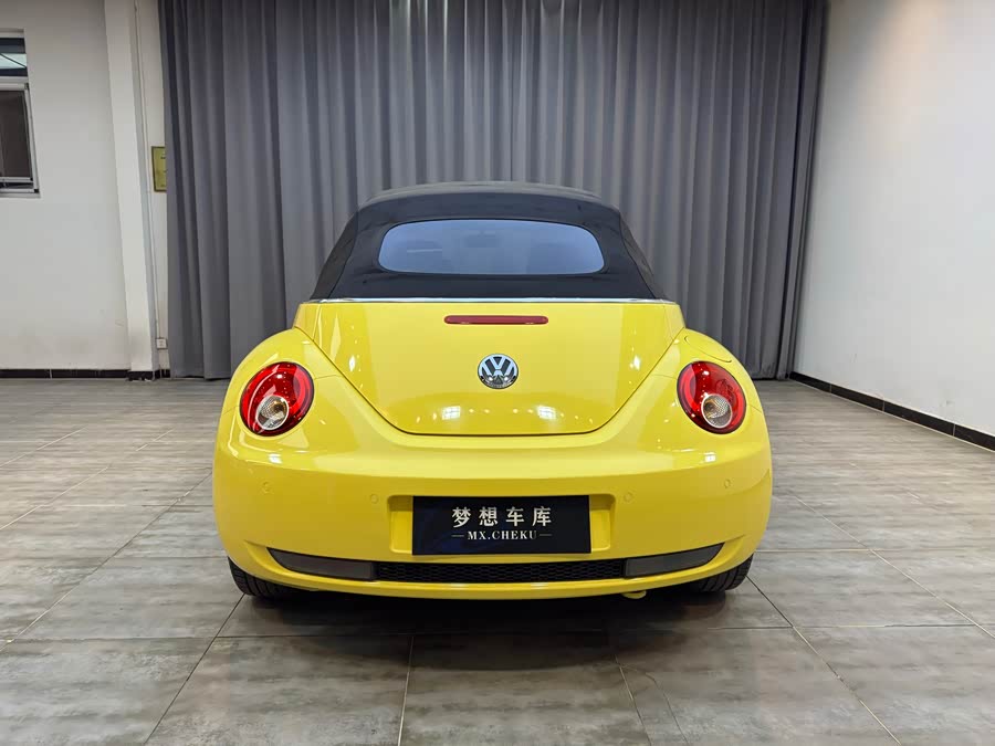 Volkswagen Beetle 2010 immagine di auto #21