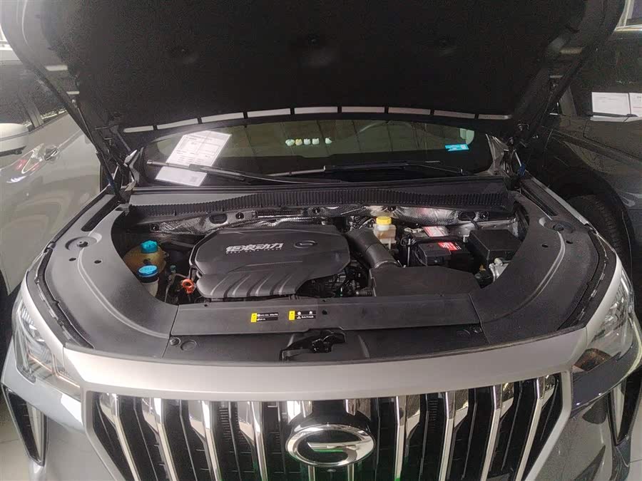 GAC Trumpchi GS4 PLUS 2022 #21 GAC Trumpchi GS4 PLUS 2022 immagine di auto #21