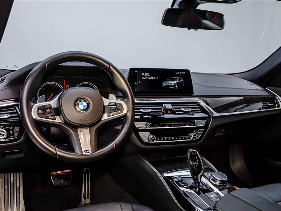 BMW 5 Series 2019 car image #21