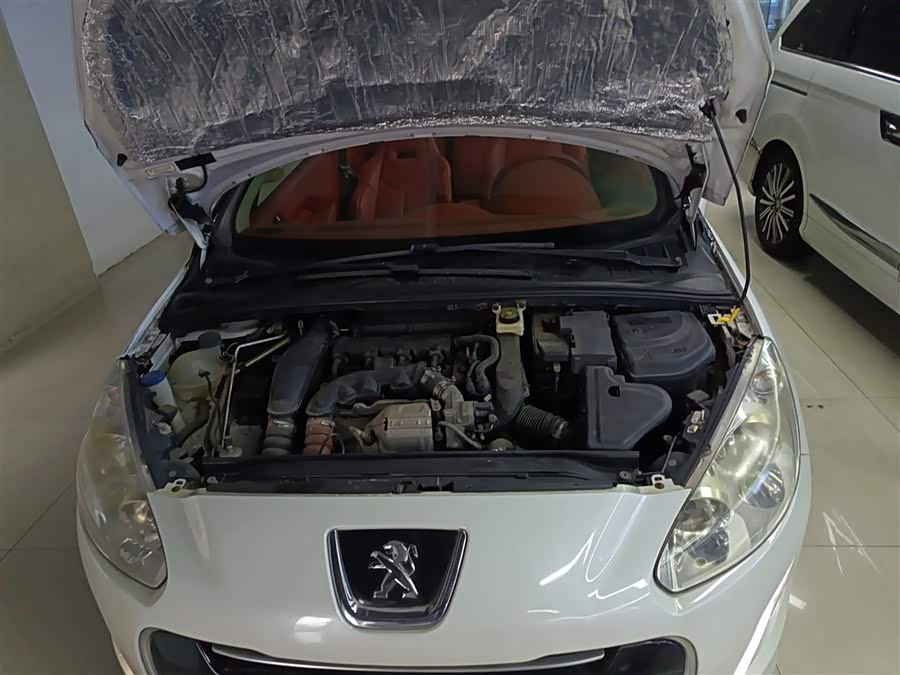 标致 标致308(进口) 2014 汽车图片 #21