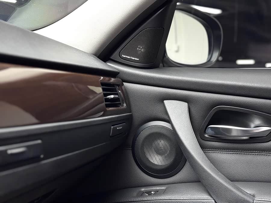 BMW 3 Series (Imported) 2010 car image #21