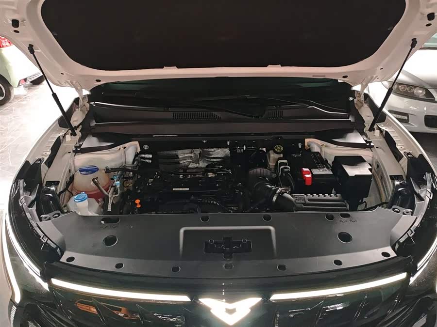 Kaiyi Kunlun 2023 immagine di auto #21