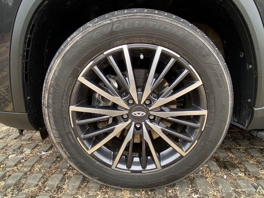 Chery Tiggo 8 Plus 2021 imagen de coche #21