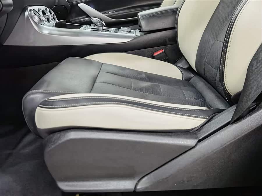 Denza X 2020 imagem de carro #21