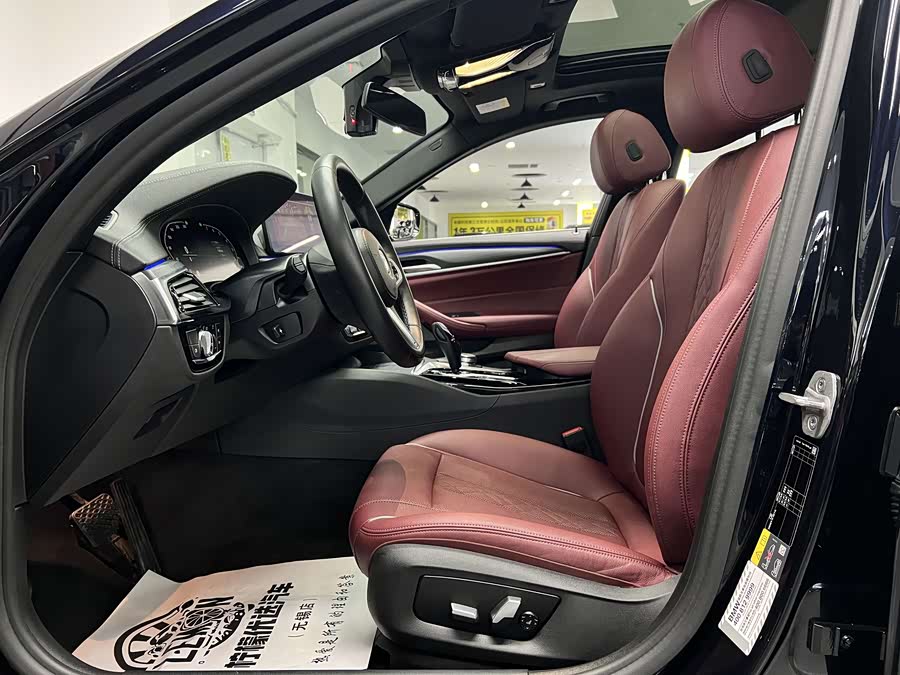 BMW 5 Series New Energy 2021 car image #21