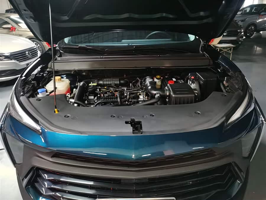 Forthing T5 EVO 2024 car image #21