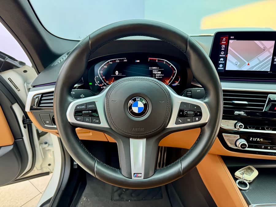 BMW 5 Series (Imported) 2021 car image #21