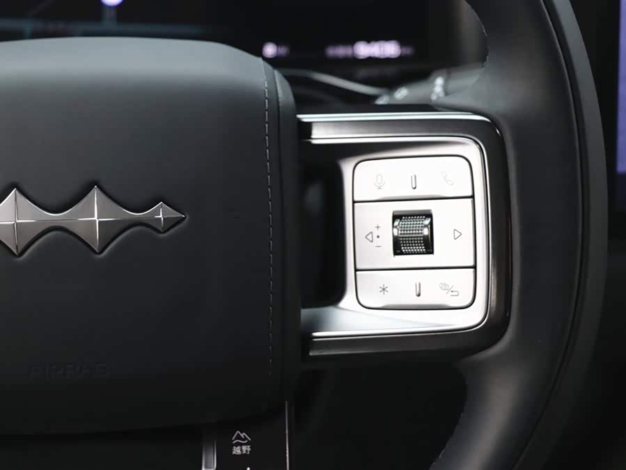 FangChengBao Leopard 5 2025 car image #21