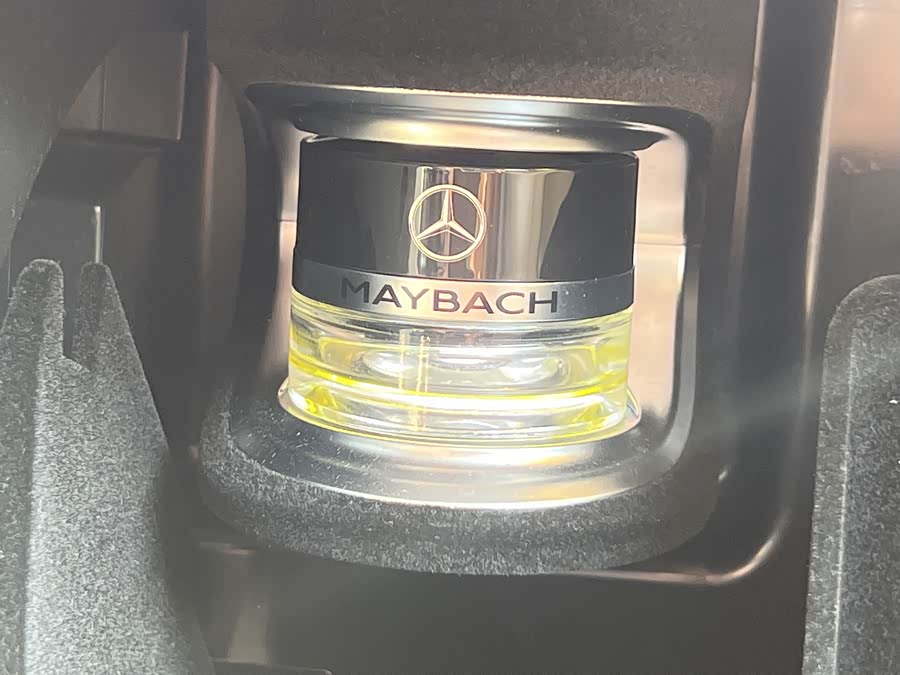 Mercedes-Benz Maybach GLS 2022 car image #21