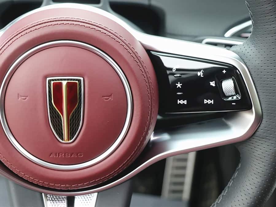 HongQi E-HS9 2023 изображение автомобиля #21