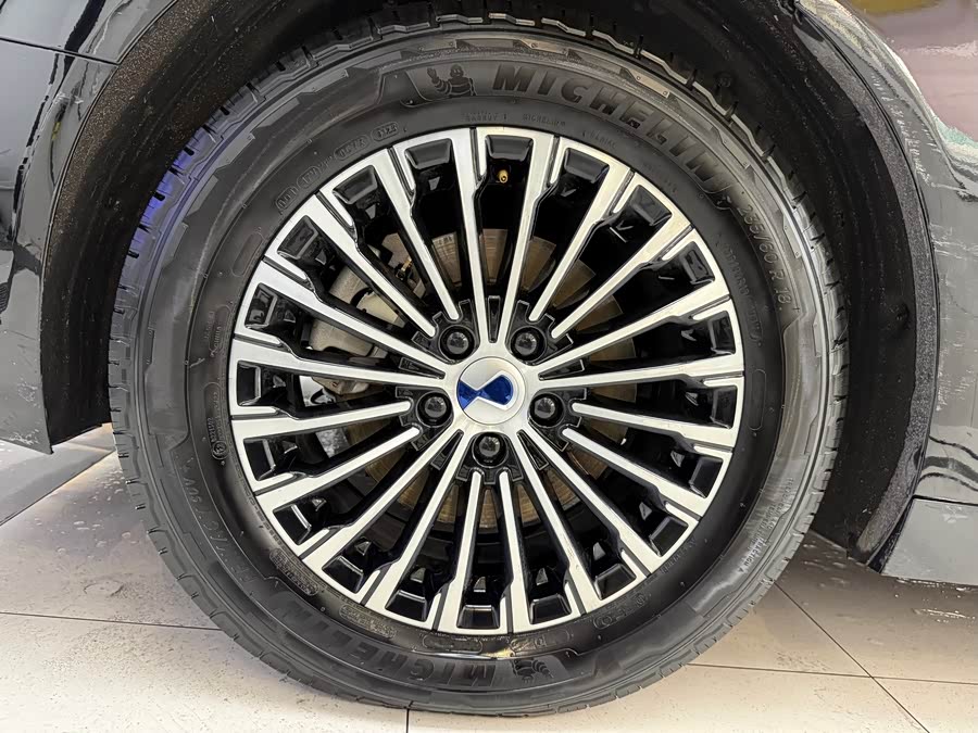 Denza D9 2023 car image #21