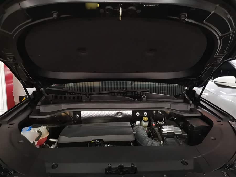 Chery Tiggo8L 2024 immagine di auto #21