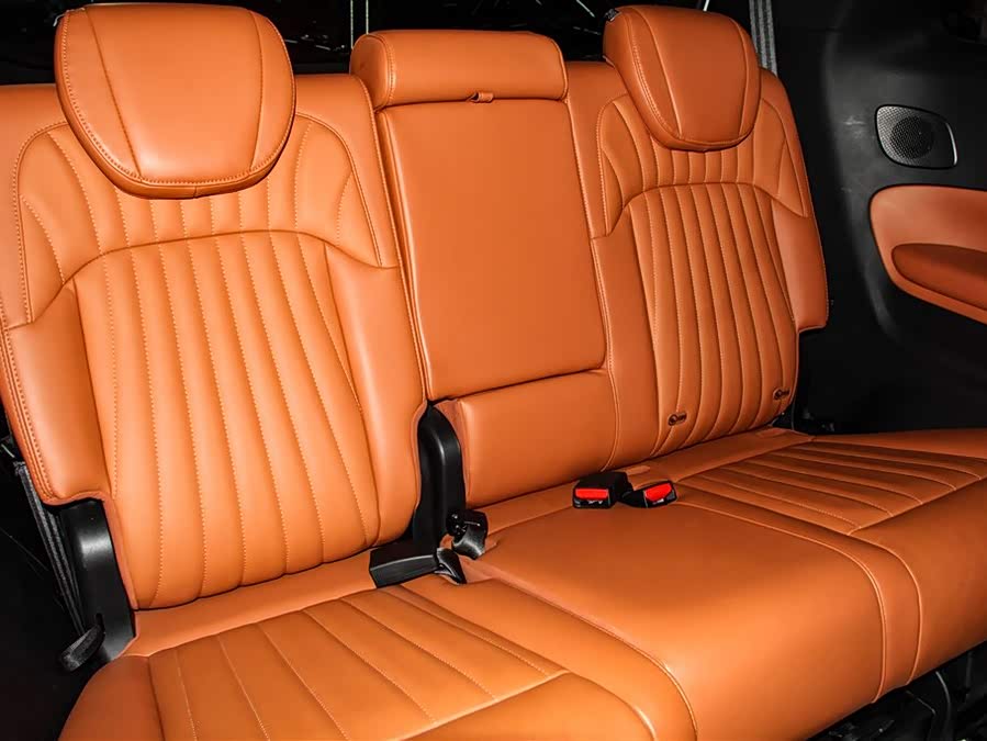 GAC Trumpchi E9 2024 car image #21