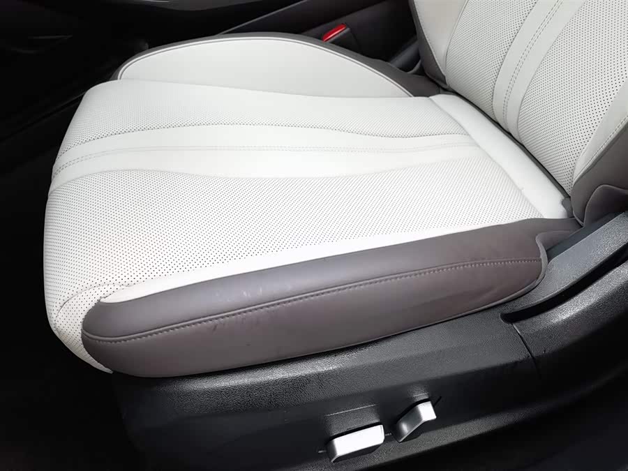 BYD Song Plus New Energy 2025 car image #21