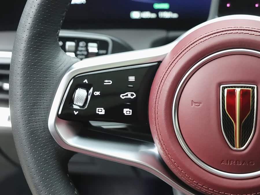 HongQi E-HS9 2023 immagine di auto #21