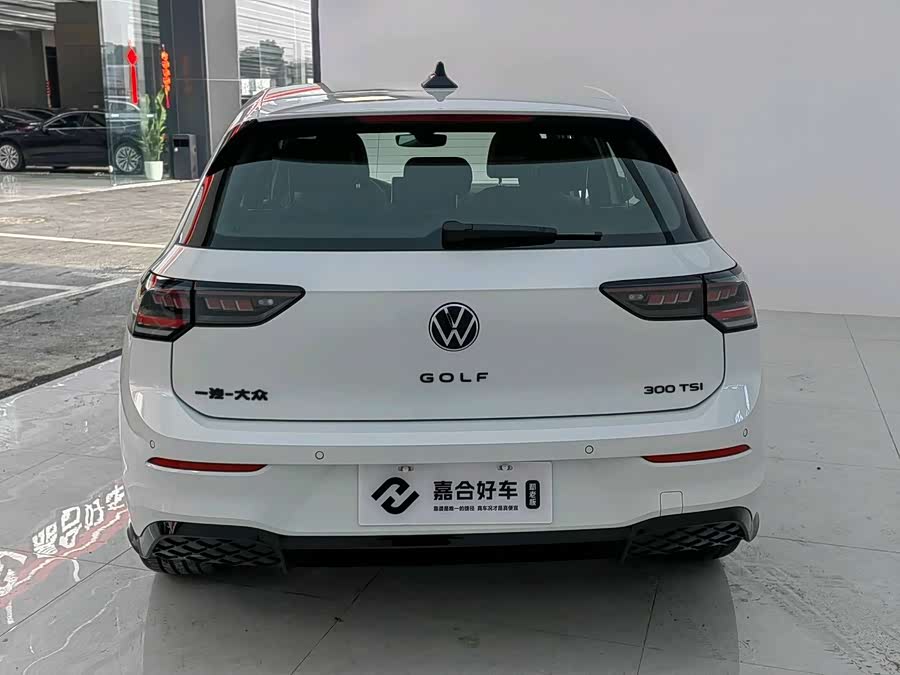 Volkswagen Golf 2025 car image #21