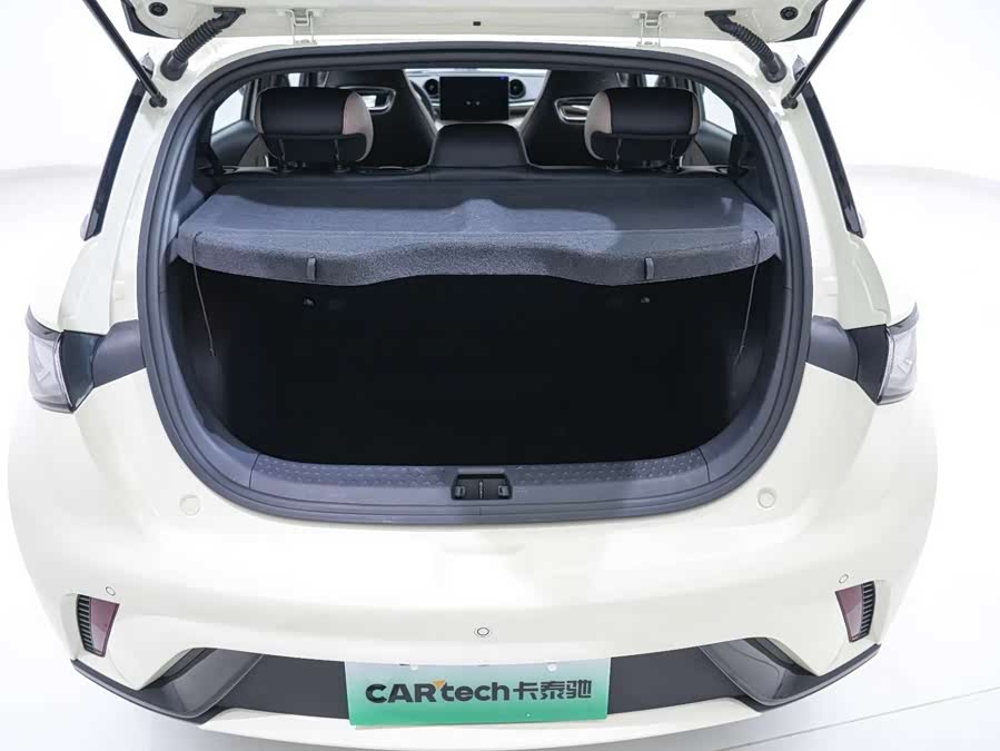 BYD Dolphin 2023 car image #21