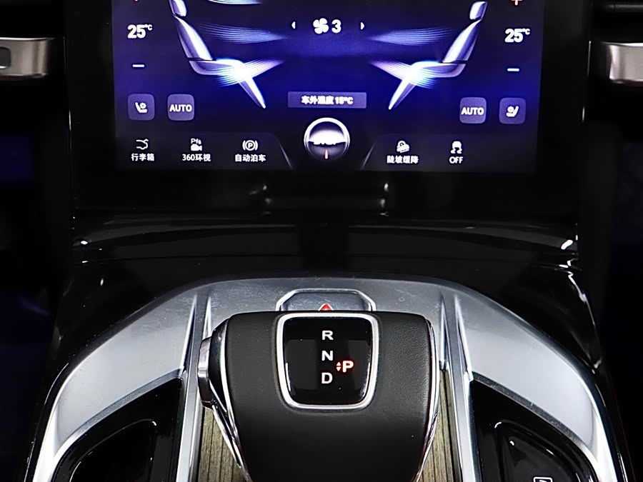 HongQi E-HS9 2023 immagine di auto #21