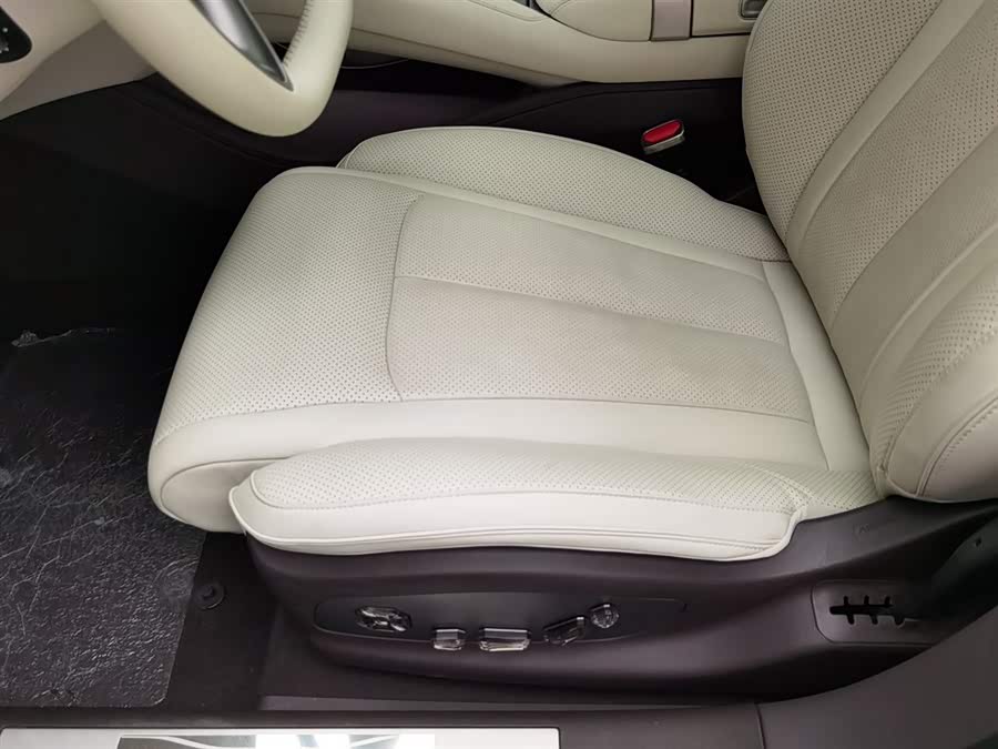 Denza Z9 2024 immagine di auto #21